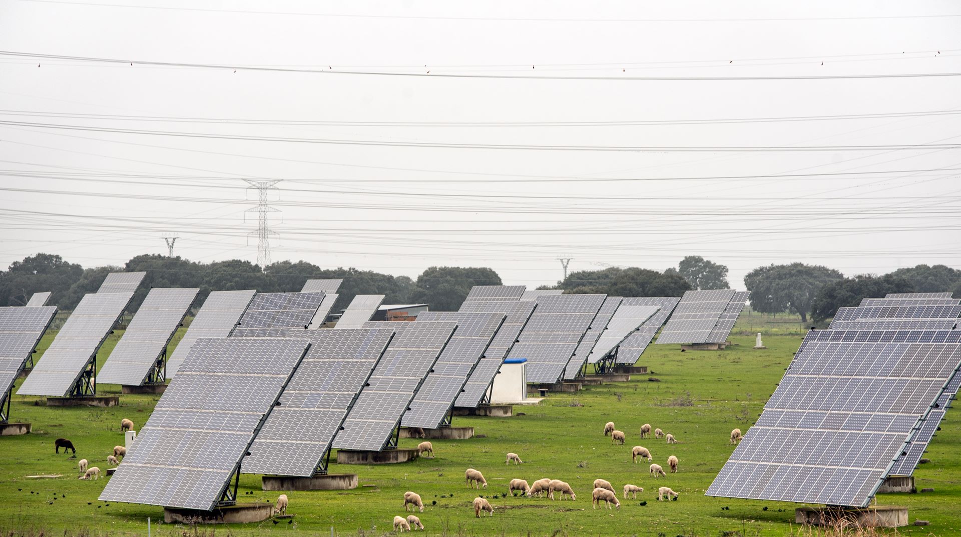 Off-Grid Solar Solutions for Remote Homes in South Africa